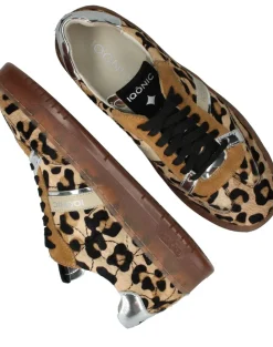 DAMES IQONIC IQÔNIC Sneakers Bruin Dames