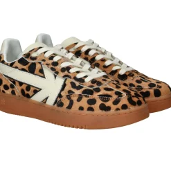DAMES Kaotiko Boston V Sneakers Bruin Dames