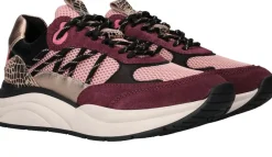 DAMES LOFF 1881 Sneakers Paars Dames