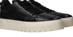 Heren LOFF 1881 Sneakers Heren