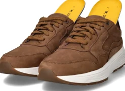 Heren Xsensible Golden Gate Sneakers Heren